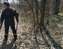 Піротехніками на Луганщині вилучено чотири гранати