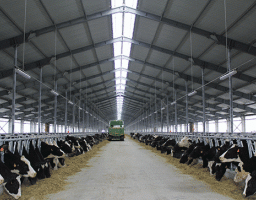 На відновлення тваринницьких комплексів області витратять 132 мільйони гривень