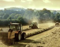 Почалася збиральна кампанія ранніх зернових та зернобобових культур на Луганщині