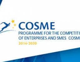 ІНФОРМАЦІЙНИЙ ЗАХІД ЩОДО ПРОГРАМИ ЄВРОПЕЙСЬКОЇ МЕРЕЖІ ПІДПРИЄМСТВ (ENN) В РАМКАХ ПРОЕКТУ ЄС COSME