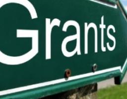 ГРАНТОВА ПІДТРИМКА ЗАЙНЯТОСТІ ТА ПІДПРИЄМНИЦЬКОЇ ДІЯЛЬНОСТІ МОЛОДІ