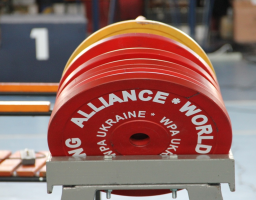 Дві луганчанки стали бронзовими призерками чемпіонату Світу з пауерліфтингу  