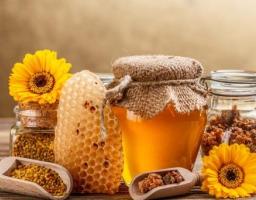 18 серпня у Сєвєродонецьку відбудеться етнофестиваль «Луганщина єднає»