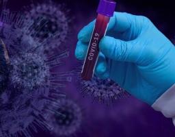 Лабораторно підтверджено 203 нових випадки COVID-19 на Луганщині за минулу добу. Від ускладнень померло ще 11 хворих