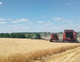На Луганщині розпочалась збиральна кампанія