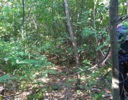 Піротехнічними розрахунками вилучено 33 одиниці вибухонебезпечних предметів