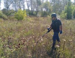 За минулу добу на Луганщині вилучено 35 вибухонебезпечних предметів