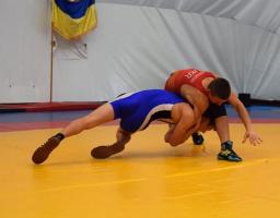 На чемпіонаті області визначили кращих борців Луганщини