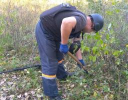 Піротехніками на Луганщині виявлено та вилучено 94 одиниці вибухонебезпечних предметів 