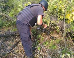 Піротехніками на Луганщині виявлено та вилучено 64 одиниці вибухонебезпечних предметів 