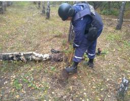 На Луганщині знайдено 94 одиниці вибухонебезпечних предметів