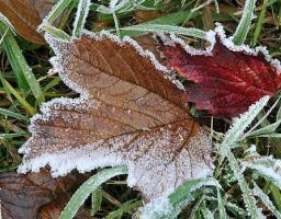 Увага! Очікується суттєве зниження температури повітря