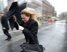 Завтра на Луганщині прогнозуються сильні пориви вітру