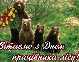 З Днем працівника лісу!!!