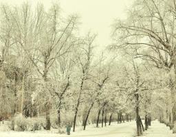 Увага! Ускладнення погодних умов на Луганщині