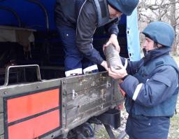 У Луганській області виявлено та вилучено 15 одиниць вибухонебезпечних предметів