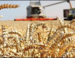 Уряд надав доступ до державної підтримки більшій кількості аграріїв