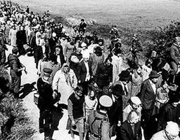 29 вересня - День пам'яті жертв Бабиного Яру