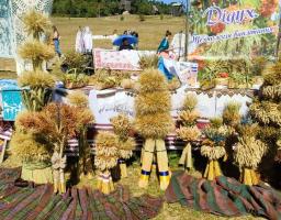 Луганчани долучилися до Всеукраїнського фестивалю «Жива культура – живий світ»