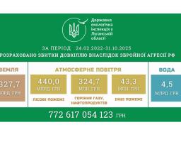 Лісові пожежі: упродовж жовтня ще на понад 8 мільярдів гривень збільшилися збитки, завдані довкіллю Луганщини через російське вторгнення