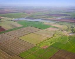 На Луганщині завершилась передача державних сільгоспземель у комунальну власність ОТГ