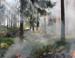 Увага! Попередження про пожежну небезпеку в області