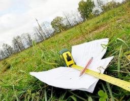 На Луганщині визначено середню ціну на землі сількогосподарського призначення