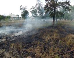 За минулу добу рятувальники Луганщини ліквідували 11 займань  загальною площею 11 га