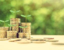 Землекористувачі та власники землі Луганщини сплатили понад 293 млн гривень