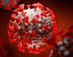 На Луганщині не зафіксовано нових випадків захворювання на COVID-19