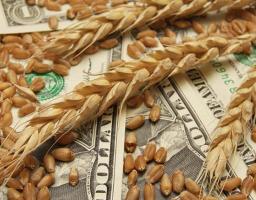 IFC запускає інструмент аграрних розписок для агровиробників з усієї України