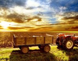 Гранти на збільшення доданої вартості у плодоовочевому та м’ясомолочному секторах