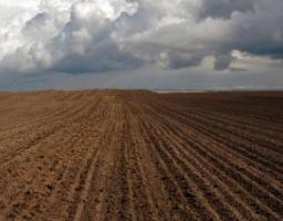 За індексом сільськогосподарської продукції Луганська область посіла третє місце