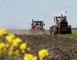 Аграрії отримають компенсації за втрату посівів через посуху