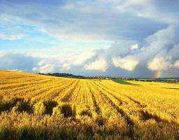 Артем Лисогор привітав із Днем працівників сільського господарства України