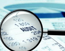 Аудитори Луганщини за вісім місяців забезпечили відшкодування втрат на суму 7,8 млн гривень