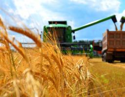  Обговорено напрями розвитку агропромислової галузі на наступний рік