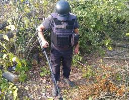Піротехніками у Станиці Луганській виявлено та вилучено 55 одиниць вибухонебезпечних предметів 