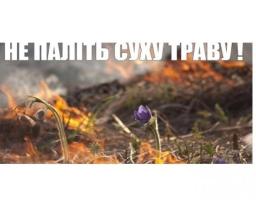Пожежі в екосистемах: рятувальники нагадують про адміністративну відповідальність