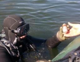 За минулу добу на Луганщині вилучено 26 вибухонебезпечних предметів