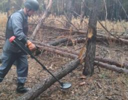 Піротехнічними розрахунками вилучено дві одиниці вибухонебезпечних предметів