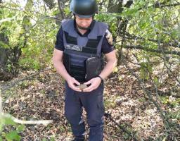 Піротехніками Луганщини вилучено 53 вибухонебезпечні предмети