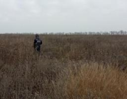 Піротехніками на Луганщині вилучено 83 вибухонебезпечних предмети