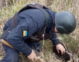 Піротехніками вилучено 56 вибухонебезпечних предметів