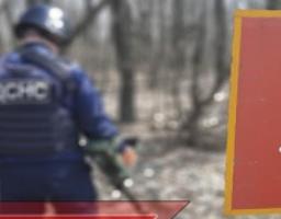 За минулу добу піротехніками на Луганщині вилучено 30 вибухонебезпечних предметів