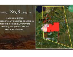 Шкоди на 36,5 мільярдів гривень завдали липневі лісові пожежі на окупованій частині Луганщини
