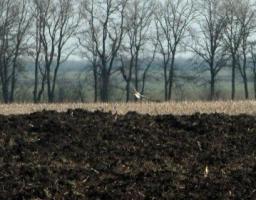 Обговорені шляхи вирішення проблем зрошення сільськогосподарських земель 