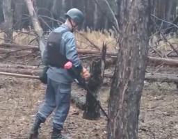 Піротехніками на Луганщині вилучено 10 одиниць вибухонебезпечних предметів 