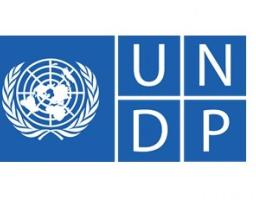 Програма ООН із відновлення та розбудови миру та Луганська облдержадміністрація провели спільний онлайн форум