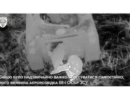 «Друже, пий і повзи за дроном», - бійці ЗСУ на Сватівщині врятували пораненого прикордонника Луганського загону